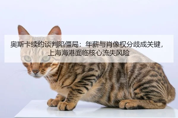 ao-si-ka-xu-yue-tan-pan-xian-jiang-ju-nian-xin-yu-xiao-xiang-quan-fen-qi-cheng-guan-jian-shang-hai-hai-gang-mian-lin-he-2-926.jpg