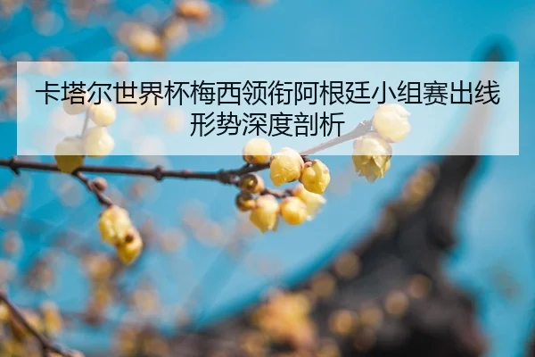 ka-ta-er-shi-jie-bei-mei-xi-ling-xian-a-gen-ting-xiao-zu-sai-chu-xian-xing-shi-shen-du-pou-xi-2-972.jpg