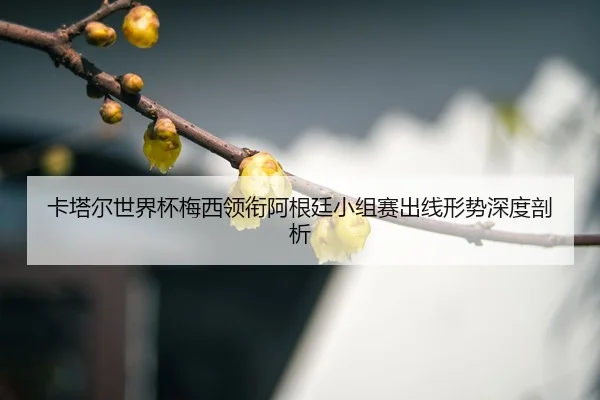 ka-ta-er-shi-jie-bei-mei-xi-ling-xian-a-gen-ting-xiao-zu-sai-chu-xian-xing-shi-shen-du-pou-xi-3-950.jpg