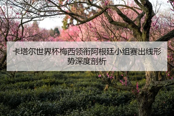 卡塔尔世界杯梅西领衔阿根廷小组赛出线形势深度剖析
