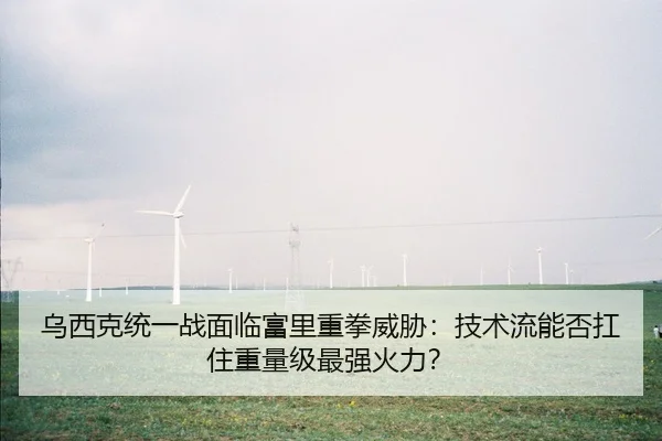 乌西克统一战面临富里重拳威胁：技术流能否扛住重量级最强火力？